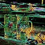 2. Mayhaps a petty chare